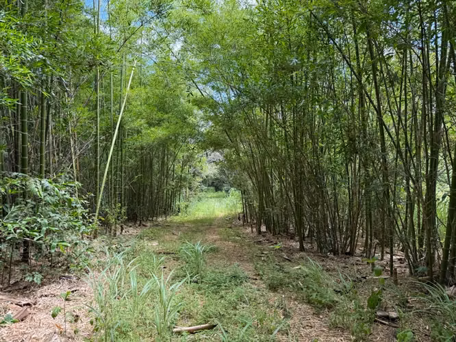 EN VENTA HERMOSA QUINTA CON AMPLIO TERRENO - LA GARITA DE ALAJUELA . - Imagen 17