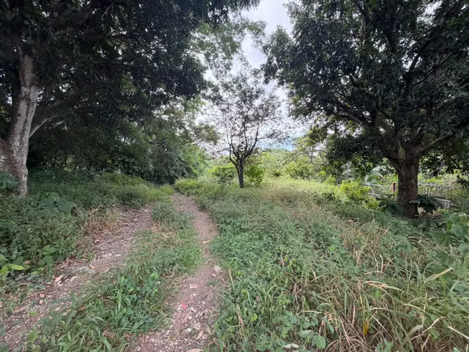VENTA DE TERRENO EN TURRUCARES ALAJUELA COSTA RICA - Imagen 5