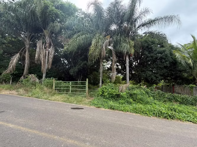 VENTA DE TERRENO EN TURRUCARES ALAJUELA COSTA RICA - Imagen 6