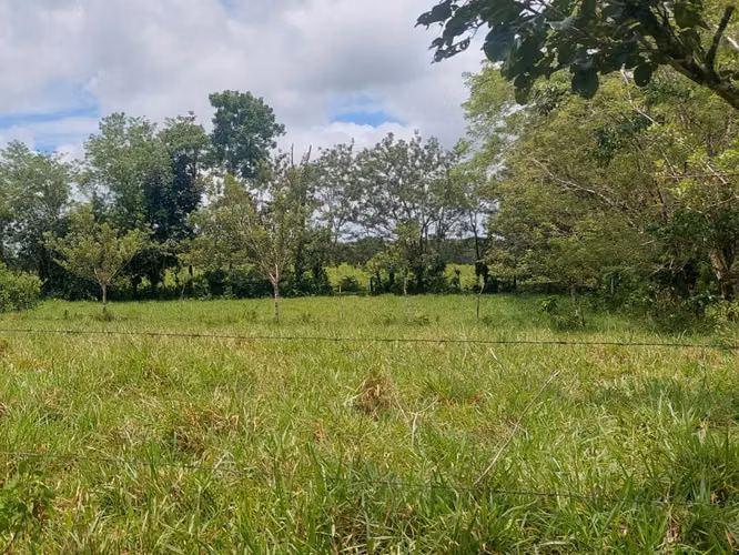Finca Ganadera 23.2 Ha en San Jorge, Los Chiles – ¡Precio Negociable y Financiamiento Disponible! - Imagen 13