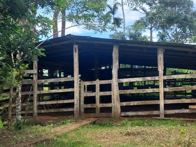 Finca Ganadera 23.2 Ha en San Jorge, Los Chiles – ¡Precio Negociable y Financiamiento Disponible! - Imagen 6