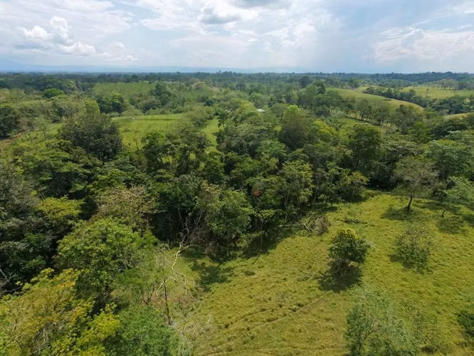 Finca Ganadera 23.2 Ha en San Jorge, Los Chiles – ¡Precio Negociable y Financiamiento Disponible! - Imagen 14