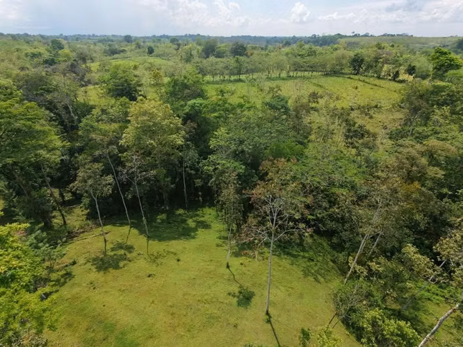 Finca Ganadera 23.2 Ha en San Jorge, Los Chiles – ¡Precio Negociable y Financiamiento Disponible! - Imagen 7