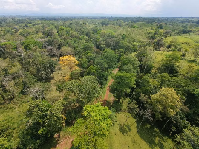Finca Ganadera 23.2 Ha en San Jorge, Los Chiles – ¡Precio Negociable y Financiamiento Disponible! - Imagen 2