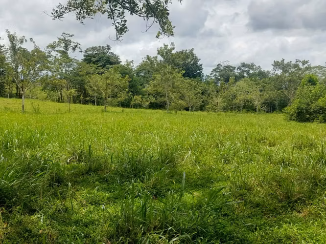Finca Ganadera 23.2 Ha en San Jorge, Los Chiles – ¡Precio Negociable y Financiamiento Disponible! - Imagen 12
