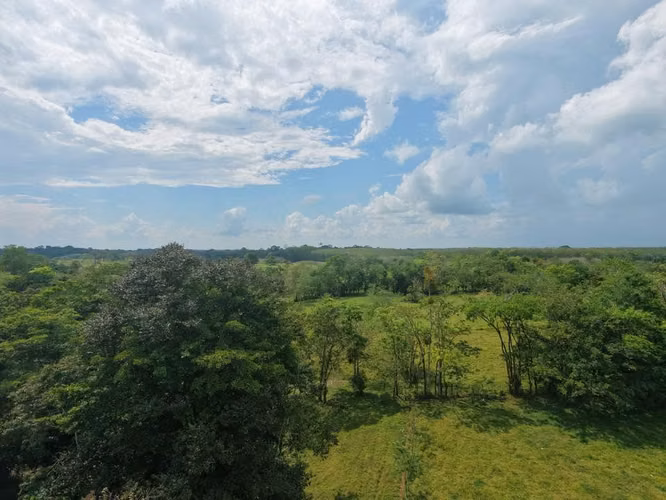 Finca Ganadera 23.2 Ha en San Jorge, Los Chiles – ¡Precio Negociable y Financiamiento Disponible! - Imagen 10