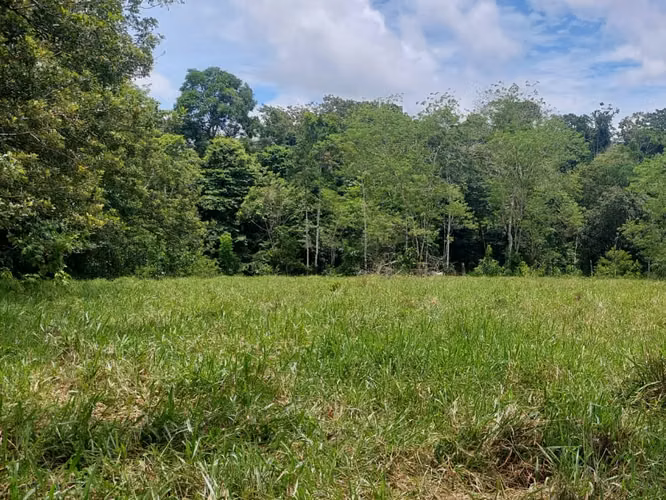 Finca Ganadera 23.2 Ha en San Jorge, Los Chiles – ¡Precio Negociable y Financiamiento Disponible! - Imagen 15