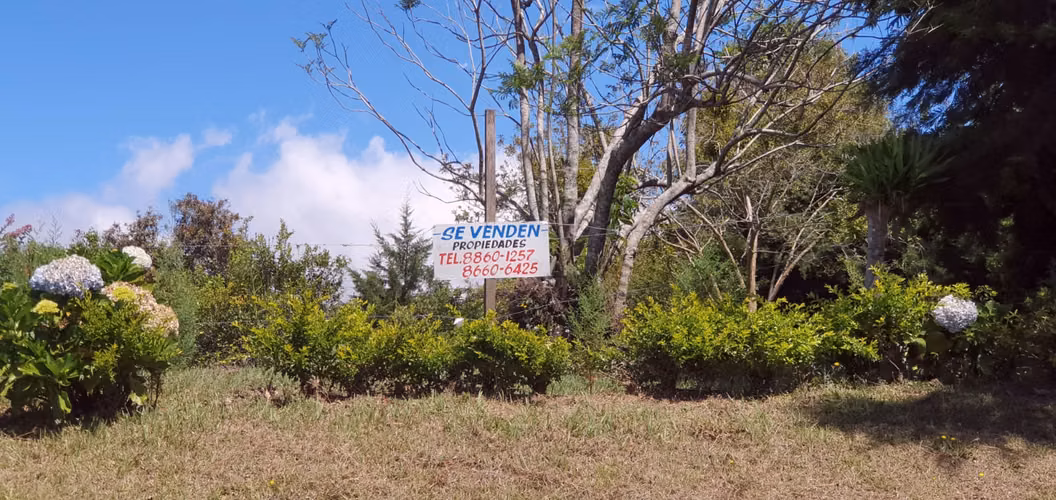 Excellent lot for sale in Carrizal de Alajuela