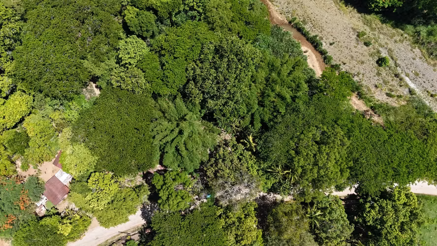 Venta Lote en Lepanto Puntarenas para Invertir o Construir - Imagen 2