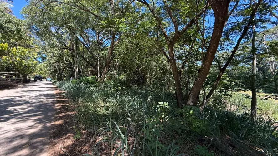 Venta Lote en Lepanto Puntarenas para Invertir o Construir - Imagen 4