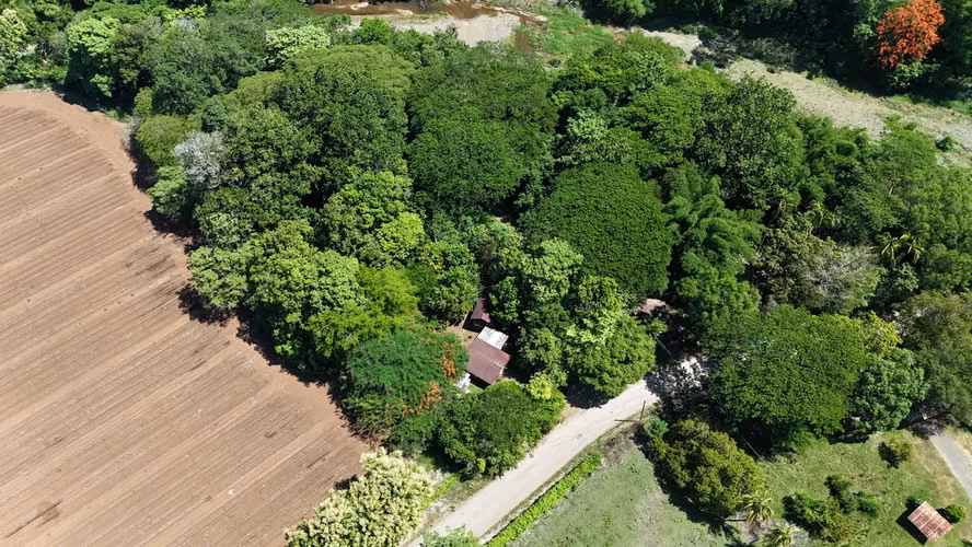 Venta Lote en Lepanto Puntarenas para Invertir o Construir - Imagen 7