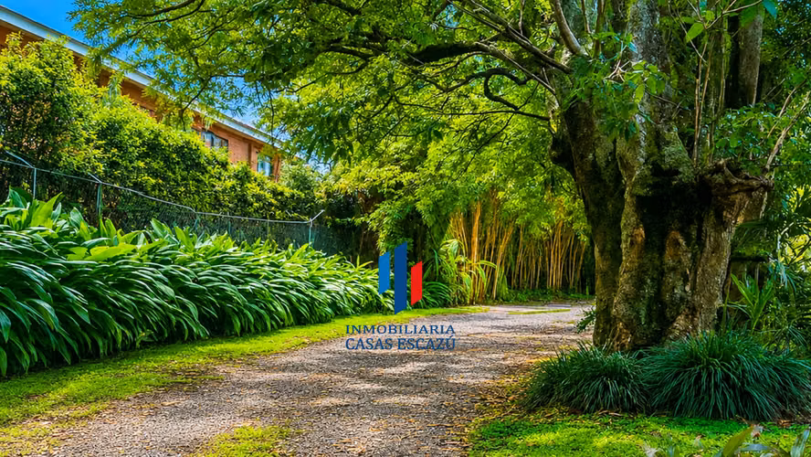 Apartamento Amueblado en Condominio, San Rafael de Escazú - Imagen 14