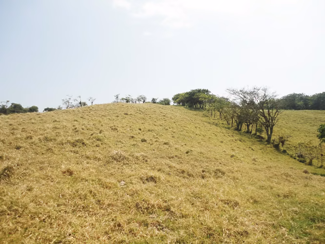 SE VENDE FINCA EN LOS ANGELES - SAN RAMON DE ALAJUELA - Imagen 10