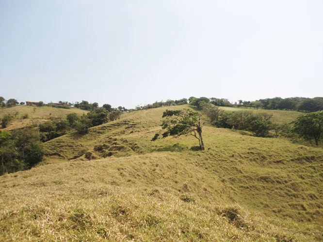 SE VENDE FINCA EN LOS ANGELES - SAN RAMON DE ALAJUELA - Imagen 6
