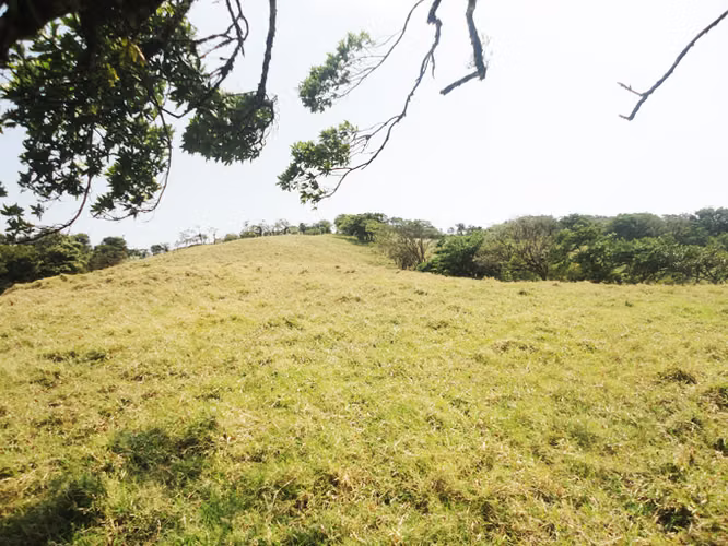 SE VENDE FINCA EN LOS ANGELES - SAN RAMON DE ALAJUELA - Imagen 4
