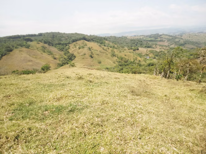 SE VENDE FINCA EN LOS ANGELES - SAN RAMON DE ALAJUELA - Imagen 9