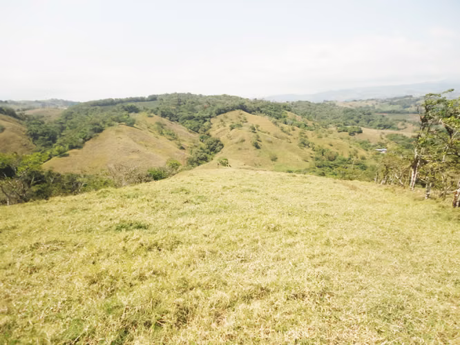 SE VENDE FINCA EN LOS ANGELES - SAN RAMON DE ALAJUELA - Imagen 2