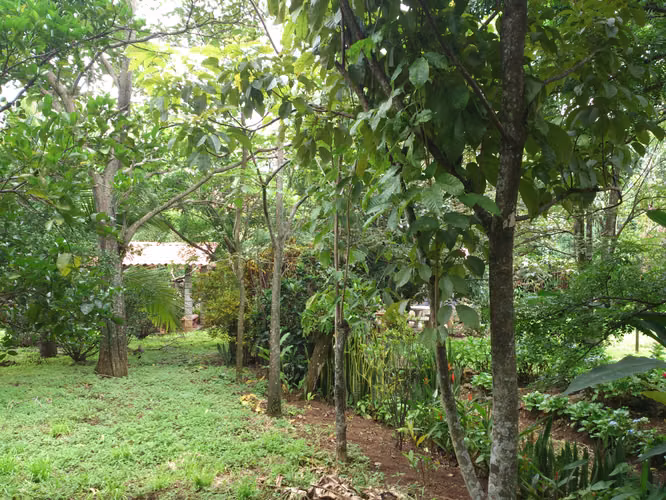 Terreno para quinta - Imagen 4