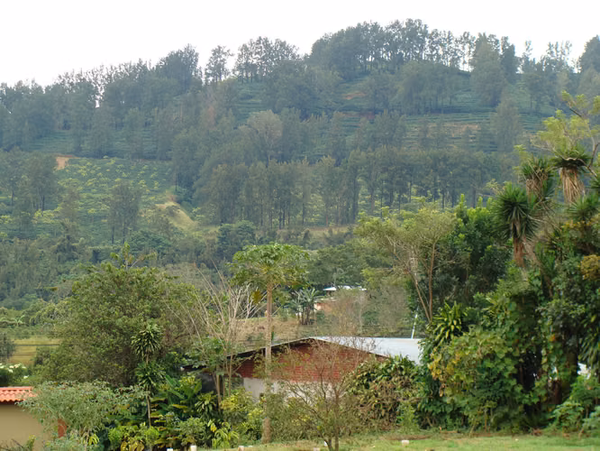 Terreno para quinta - Imagen 7