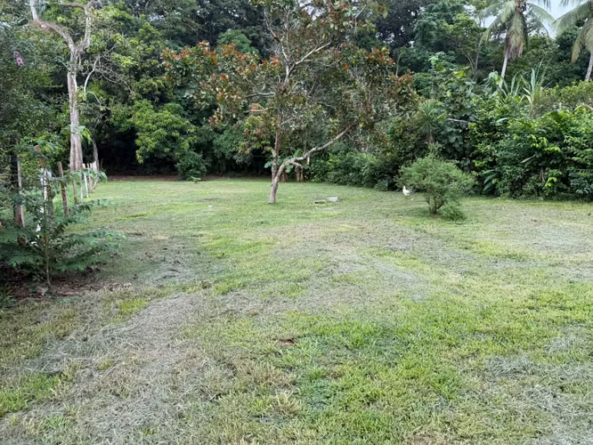 Lot for Sale in San Pablo de Turrubares – 585 m² | 15 Million