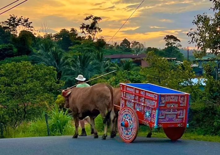 Terreno en Esquipulas de Aguas Zarcas de San Carlos, Alajuela
