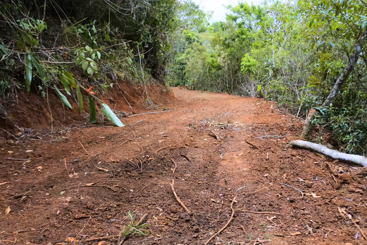 Terrenos y Quintas en San Cristóbal Norte, Desamparados, San José