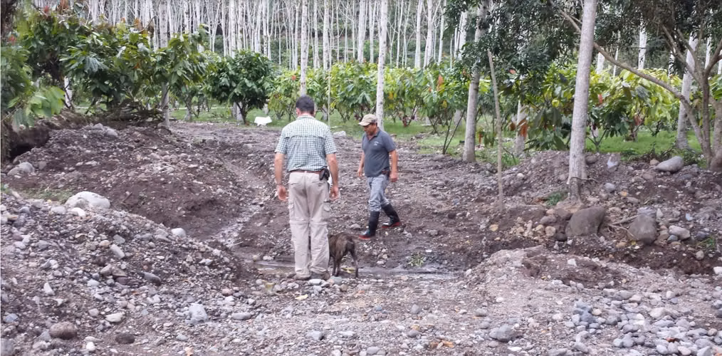 Finca en producción de Cacao, Turrialba, Cartago