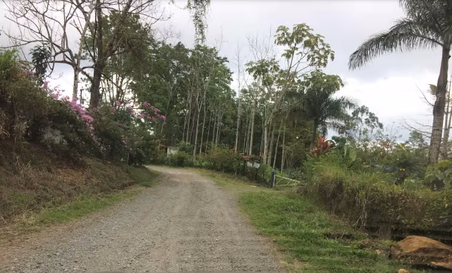 Finca de Ornamentales y Cacao en Turrialba y Limón