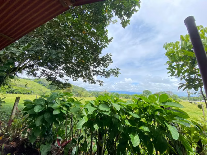Venta de Bella Finca en Guápiles, Pococí, Limón