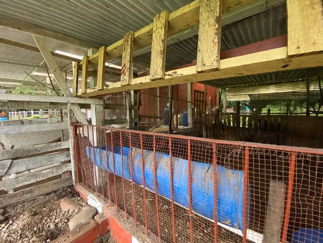 Venta de Bella Finca en Guápiles, Pococí, Limón