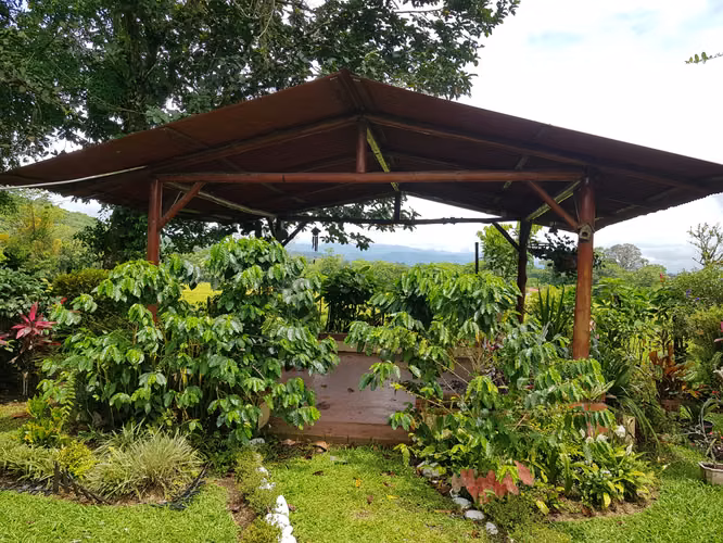 Venta de Bella Finca en Guápiles, Pococí, Limón