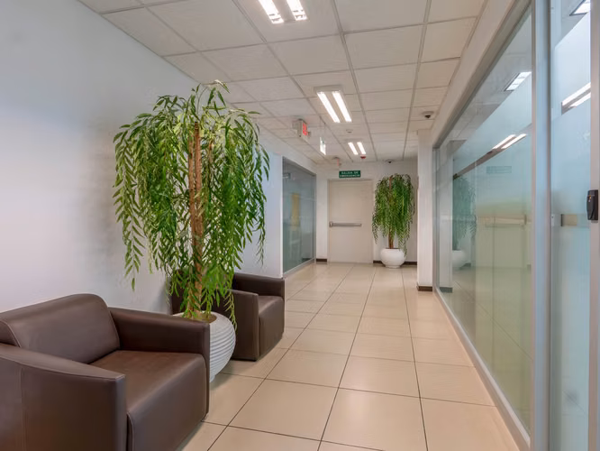 VENTA Y ALQUILER DE OFICINA EN SAN RAFAEL DE ESCAZÚ - Imagen 15