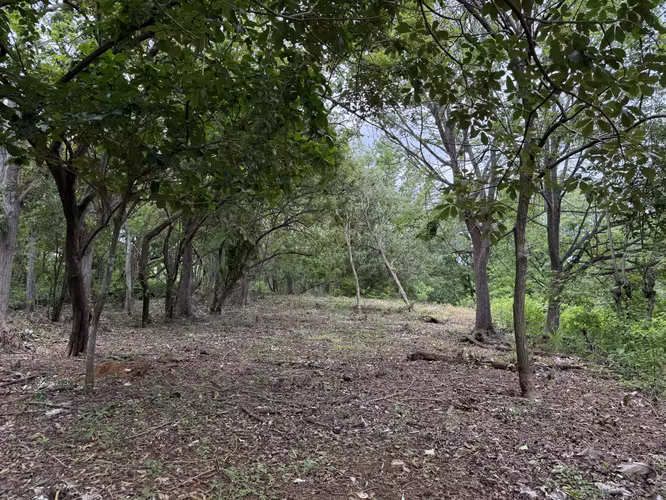 LOTE A UNOS CUANTOS PASOS DEL MAR | MARBELLA: 9,700 m² junto a Playa Frijolar - Imagen 3