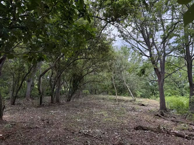 LOTE A UNOS CUANTOS PASOS DEL MAR | MARBELLA: 9,700 m² junto a Playa Frijolar - Imagen 18