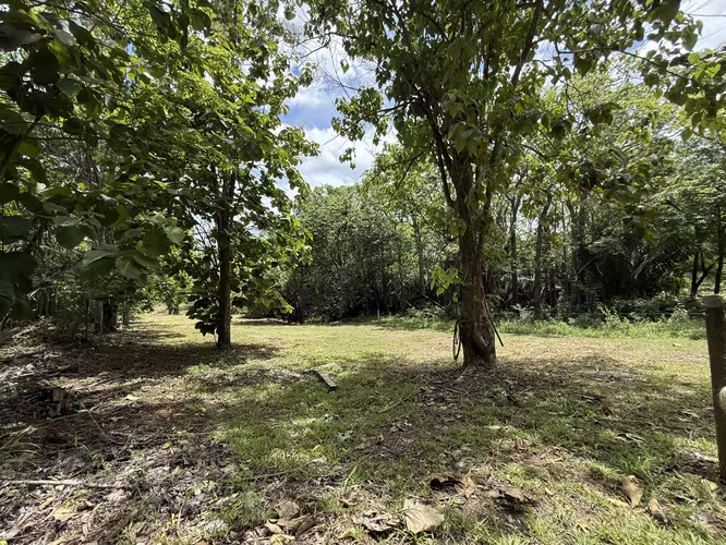 LOTE A UNOS CUANTOS PASOS DEL MAR | MARBELLA: 9,700 m² junto a Playa Frijolar - Imagen 14