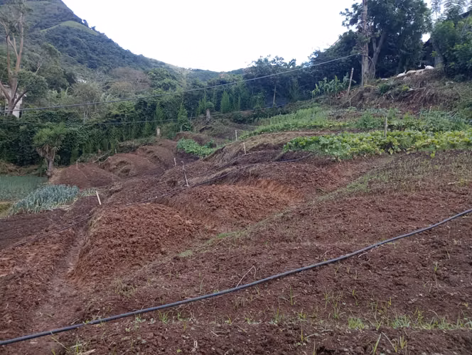SAN ANTONIO DE ESCAZÚ -Se vende finca de producción agrícola con agua propia - Imagen 15