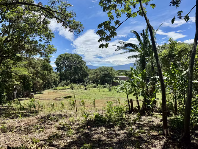 Espectacular Terreno para desarrollar en  Ciudad Colón! LCSR