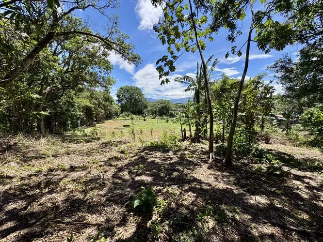 Espectacular Terreno para desarrollar en  Ciudad Colón! LCSR