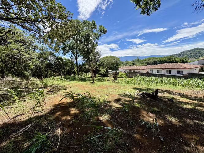 Espectacular Terreno para desarrollar en  Ciudad Colón! LCSR