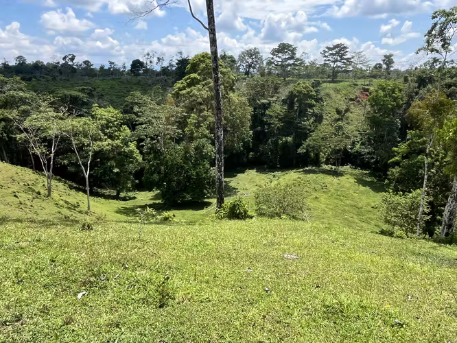 Finca Ganadera lista para producir
