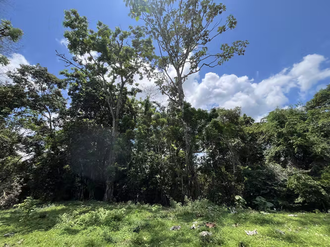 Finca Ganadera lista para producir