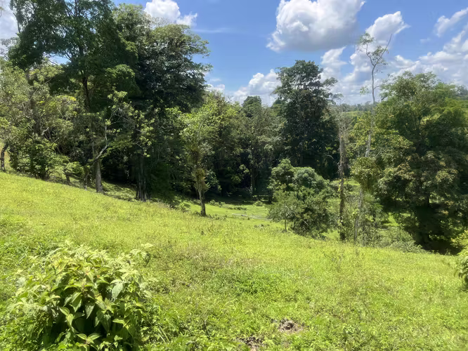 Finca Ganadera lista para producir