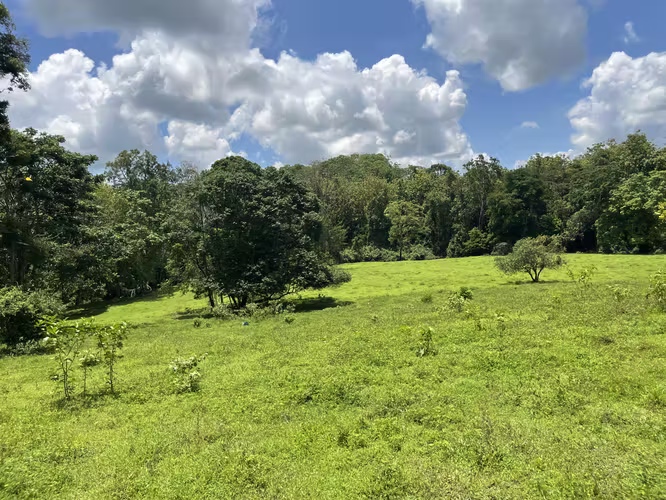 Finca Ganadera lista para producir
