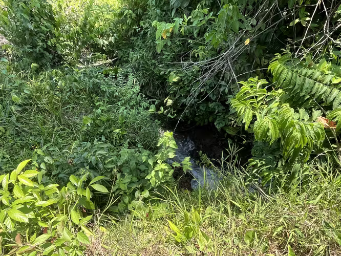 Finca Ganadera lista para producir