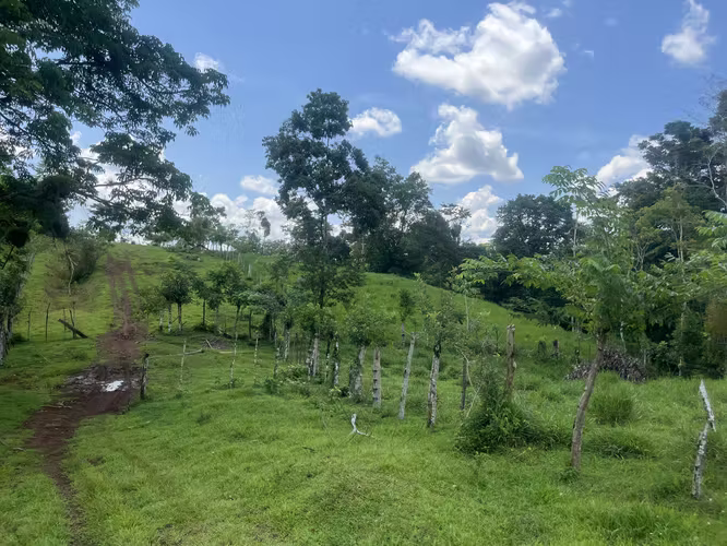 Finca Ganadera lista para producir