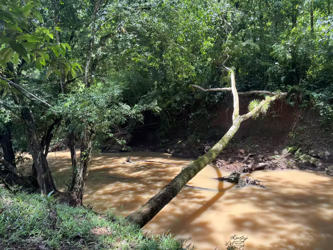 Finca Ganadera lista para producir