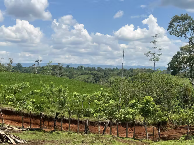Finca Ganadera lista para producir