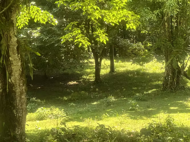 Finca Ganadera lista para producir