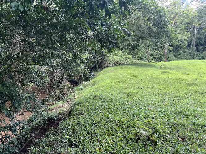 Finca Ganadera lista para producir