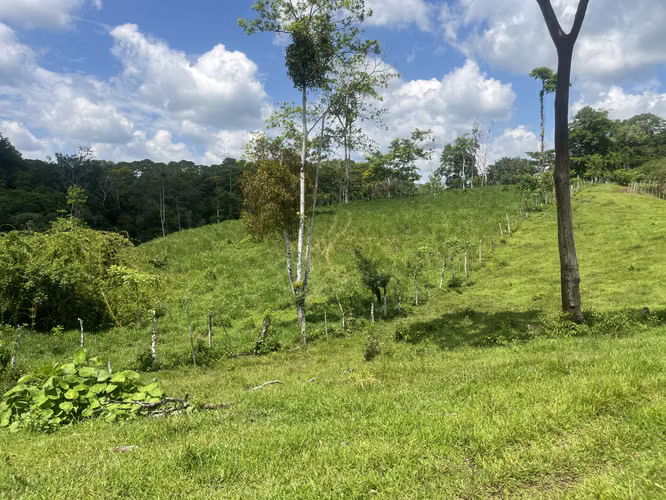 Finca Ganadera lista para producir